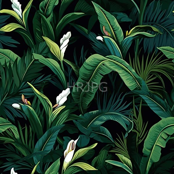 High Resolution: Dense tropical foliage features large vibrant green leaves interspersed with white and yellow bird-of-paradise flowers against a dark background download. | HRJPG.com