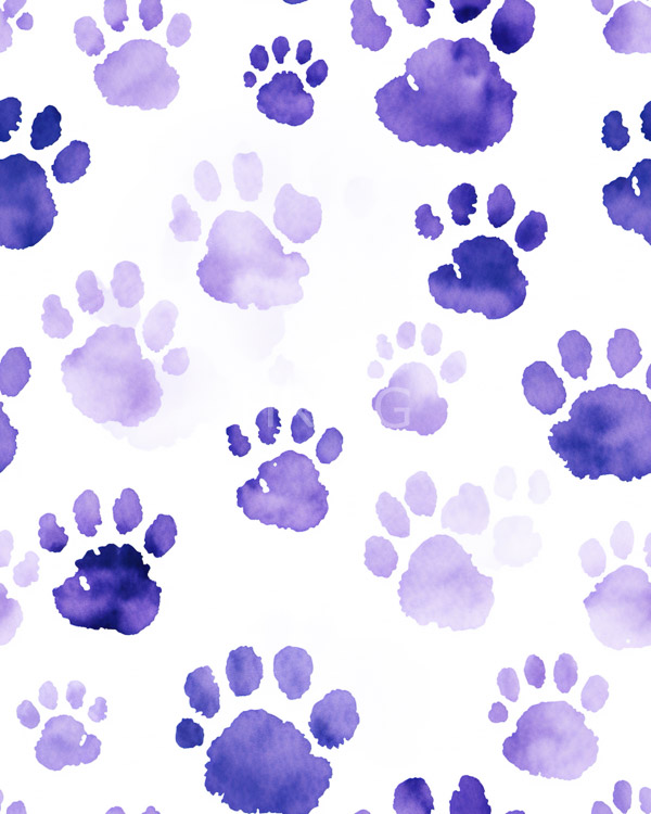 High Resolution: Watercolor pattern features various purple and lavender-colored paw prints white paw prints various sizes and randomly scattered creating download. | HRJPG.com