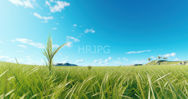 High Resolution: Vibrant green grass field with tall slender wheat stalks in the foreground against a clear blue sky with scattered white clouds and distant dark mountains download. | HRJPG.com