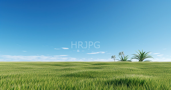 High Resolution: Photorealistic expansive sunlit green field under a clear blue sky with sparse white clouds and two small clusters of tall grass and delicate flowers download. | HRJPG.com