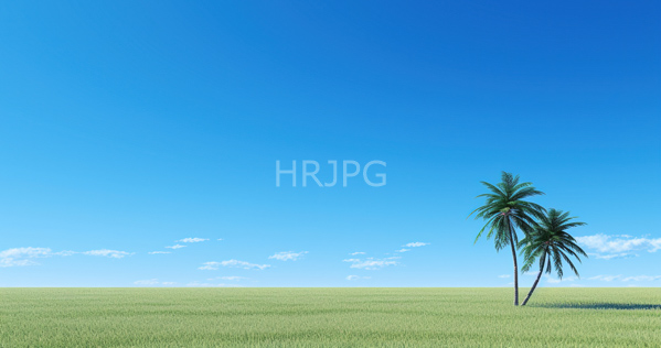 High Resolution: Expansive sunlit grassy field under a clear blue sky with two slender palm trees leaning slightly to the right and sparse white clouds dotting the horizon download. | HRJPG.com