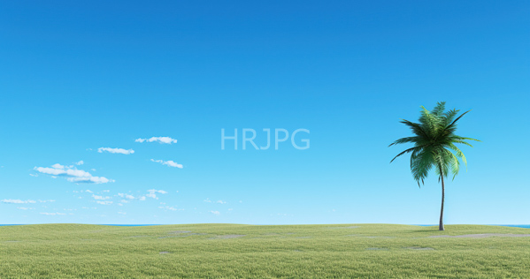 High Resolution: Expansive grassy field under a clear blue sky with sparse white clouds and a single tall palm tree standing on the right side near the horizon line download. | HRJPG.com