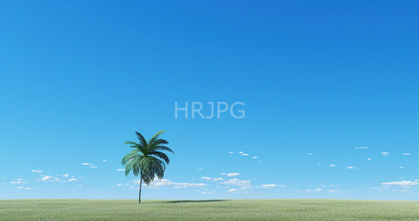 High Resolution: Isolated palm tree standing in lush green grass under a clear blue sky with scattered white clouds emphasizing simplicity and natural beauty download. | HRJPG.com