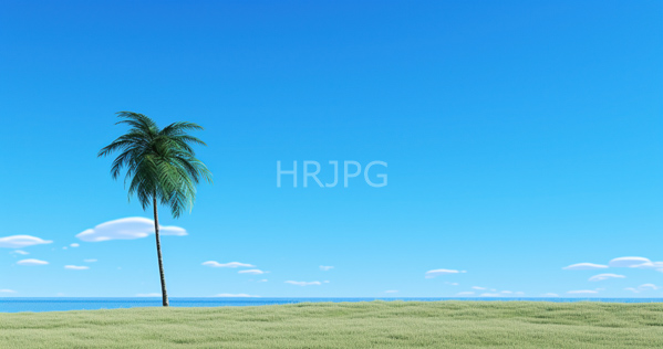 High Resolution: Isolated palm tree with lush green fronds standing on grassy terrain under a clear blue sky with scattered white clouds dotting the background near the sea download. | HRJPG.com