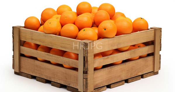 High Resolution: Wooden crate filled with bright orange textured citrus fruits oranges against a white background with crates' slats revealing additional oranges beneath the top layer download. | HRJPG.com
