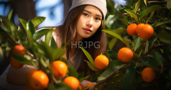 High Resolution: Asian woman with long brown hair wearing a white beanie and light gray shirt surrounded by lush green leaves bearing bright orange oranges gazing softly at the camera download. | HRJPG.com