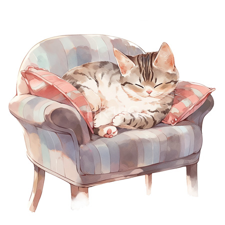 High Resolution: Chubby tabby cat sound asleep on blue grey armchair with coral pillows in soothing pastel ambiance download. | HRJPG.com