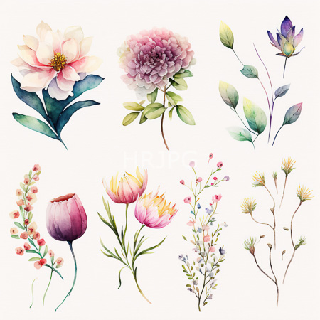 High Resolution: Watercolor painting features nine different flowers and plants with delicate brushstrokes and soft pastel colors including a pink peony-like flower and purple lotus bud download. | HRJPG.com