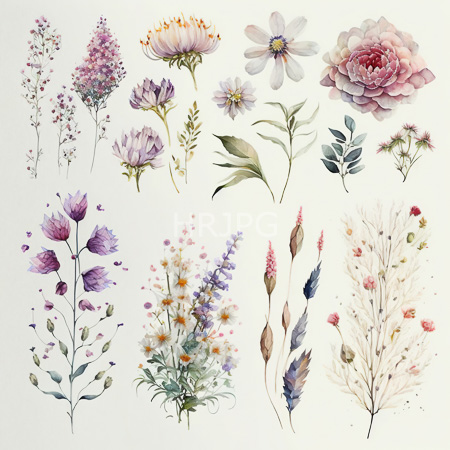 High Resolution: Elegant watercolor illustration features various floral specimens meticulously detailed and rendered in soft pastel hues against a white background including delicate purple blossoms and large pink peonies download. | HRJPG.com