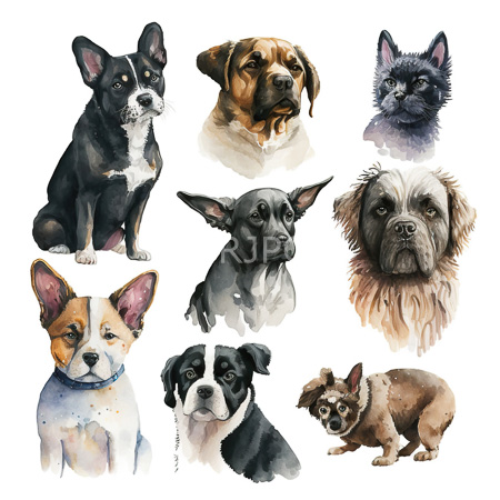 High Resolution: Watercolor illustration features nine different dog breeds each depicted in detailed head or full-body portraits including a French Bulldog and an English Bull Terrier download. | HRJPG.com