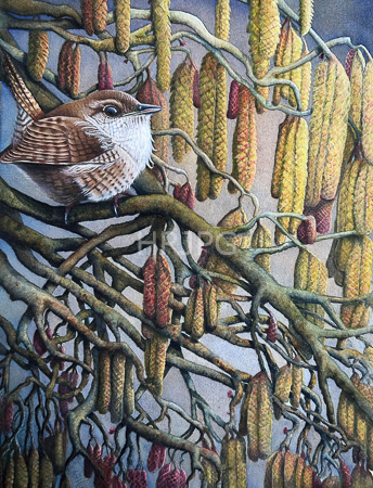High Resolution: Detailed realistic watercolor painting depicts an intricately textured bird with brown and white feathers perched on tangled branches laden with yellow-green catkins download. | HRJPG.com