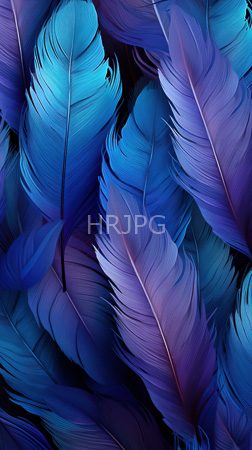 High Resolution: Overlapping arrangement of vibrant textured feathers in shades ranging from deep blue to purple and teal hues against a dark background with fine lines and subtle gradients download. | HRJPG.com