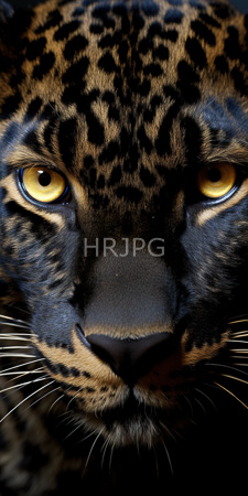 High Resolution: Close-up intense realistic leopard's face with striking yellow eyes and detailed black rosette patterns on its fur download. | HRJPG.com