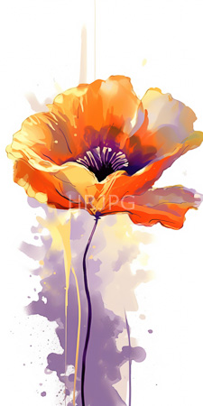 High Resolution: Watercolor-style drawing of an orange poppy flower with delicate translucent petals and dark purple center stamen against white background download. | HRJPG.com
