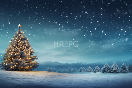 High Resolution: Illuminated Christmas tree glowing white lights golden star topper standing snow-covered field night sky sparkling stars snowy trees download. | HRJPG.com