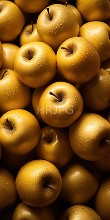 High Resolution: Numerous yellow apples closely packed together overlapping arrangement smooth with small water droplets on its surface brown stem download. | HRJPG.com