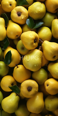 High Resolution: Numerous bright yellow pears with green leaves some covered in water droplets they overlap closely together creating an abundant visual effect download. | HRJPG.com