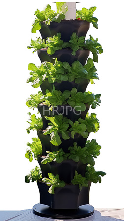 High Resolution: Indoor vertical garden multiple layers lush green lettuce plants growing black pots stacked vertically plain white background sunlight highlighting leaves download. | HRJPG.com