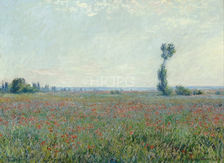 High Resolution: Claude Monet Poppy Field 1873 download. | HRJPG.com