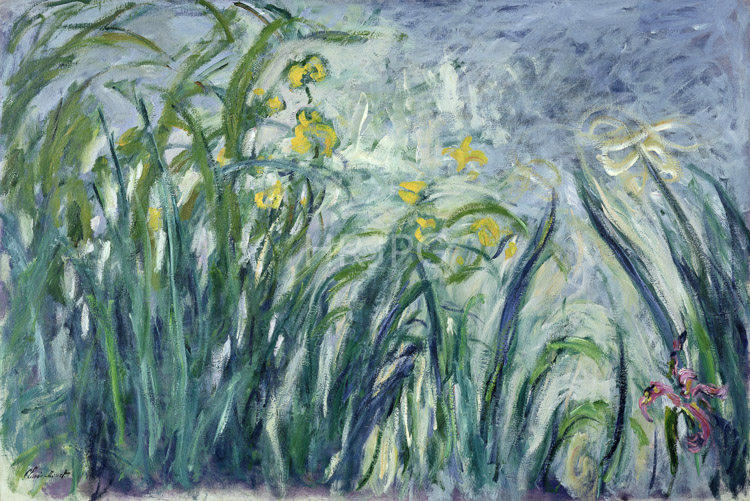 High Resolution: Claude Monet Yellow and Mauve Irises 1924 download. | HRJPG.com