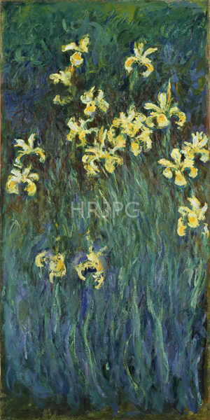 High Resolution: Claude Monet Yellow Irises 1914 download. | HRJPG.com