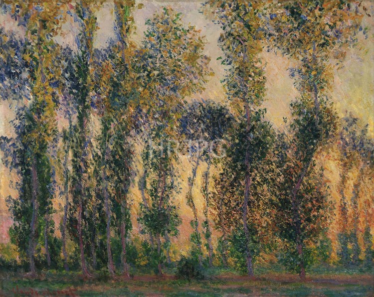High Resolution: Claude Monet Poplars at Giverny 1888 download. | HRJPG.com