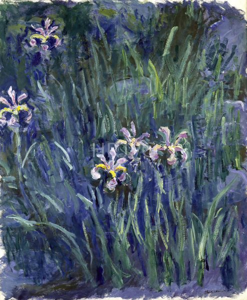 High Resolution: Claude Monet Irises 1914 download. | HRJPG.com