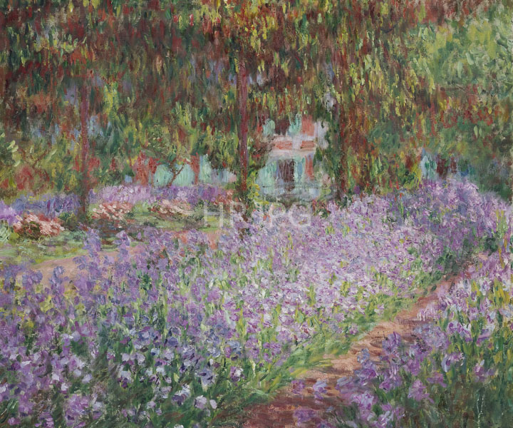 High Resolution: Claude Monet Irises in Monets Garden 1899 download. | HRJPG.com