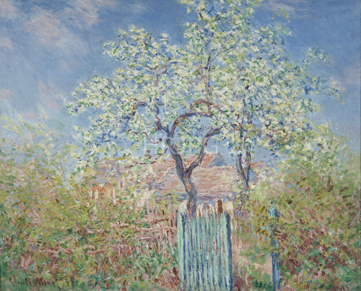 High Resolution: Claude Monet Pear Tree in Blossom 1885 download. | HRJPG.com