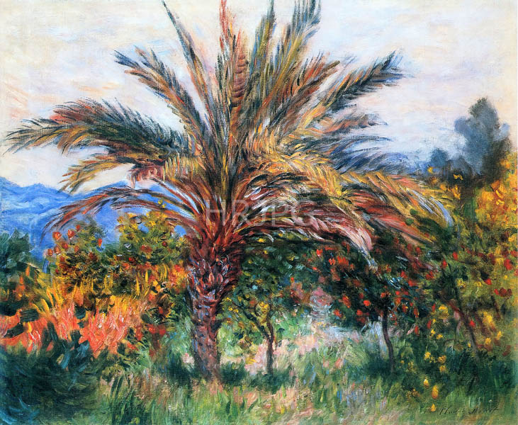 High Resolution: Claude Monet Palm Tree at Bordighera 1884 download. | HRJPG.com