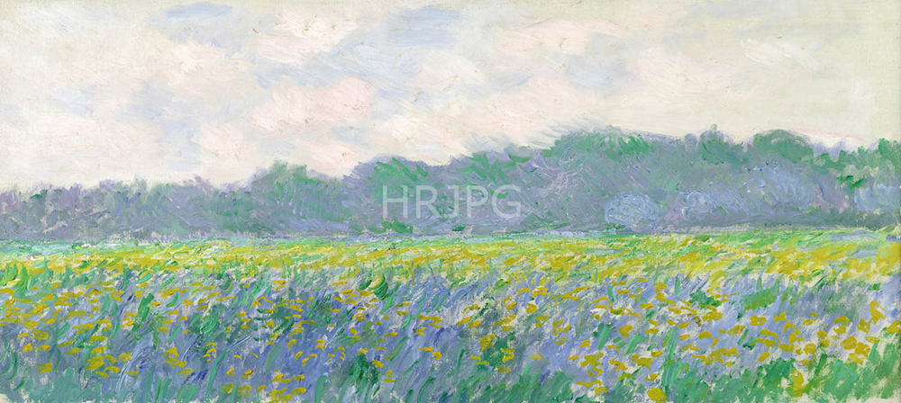 High Resolution: Claude Monet Field of Yellow Irises at Giverny 1887 download. | HRJPG.com
