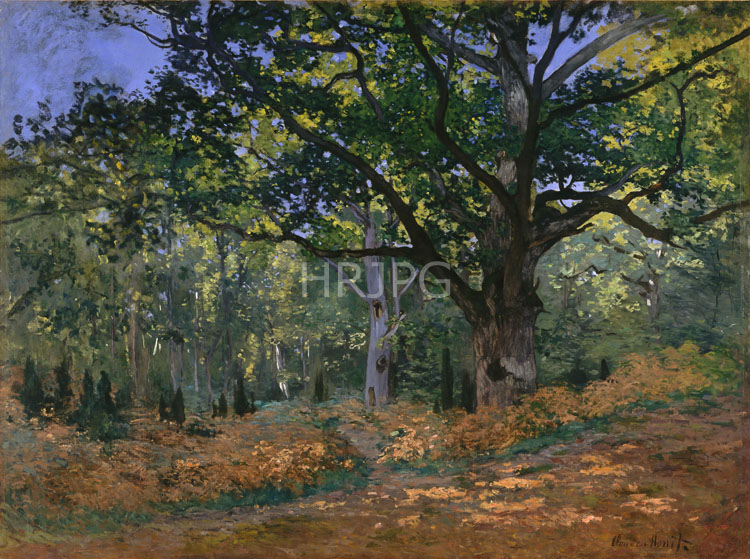 High Resolution: Claude Monet The Bodmer Oak 1865 download. | HRJPG.com