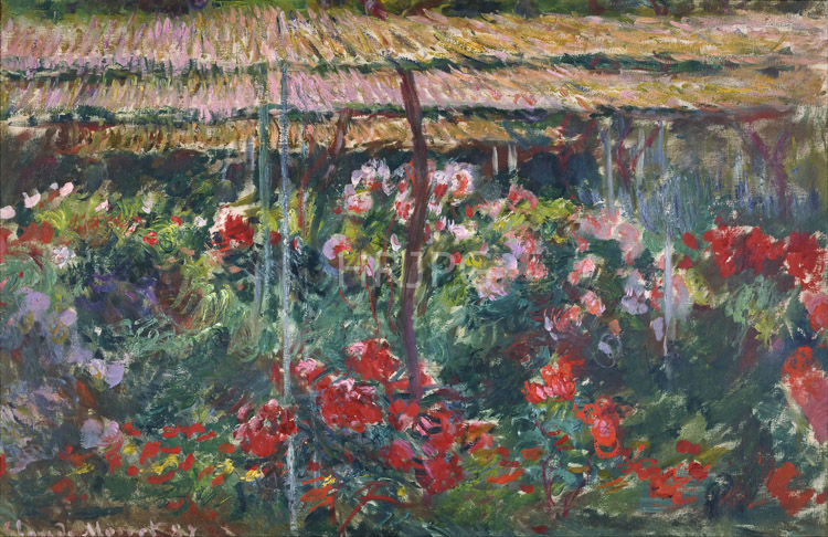 High Resolution: Claude Monet Peony Garden 1887 download. | HRJPG.com