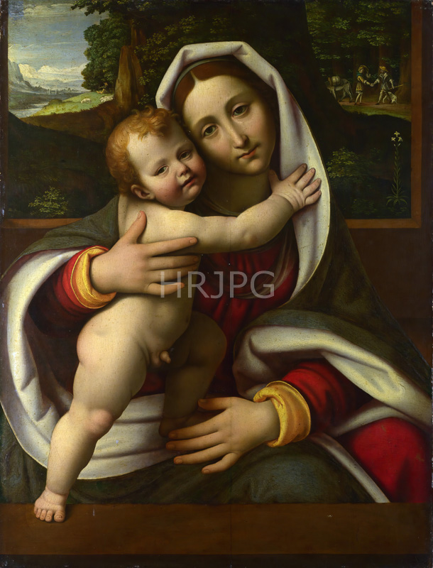 High Resolution: The Virgin and Child-Andrea Solario-c 1515 download. | HRJPG.com