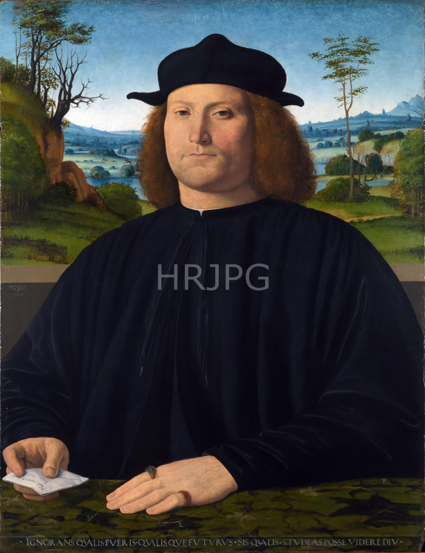 High Resolution: Portrait of Giovanni Cristoforo Longoni-Andrea Solario-c 1505 download. | HRJPG.com