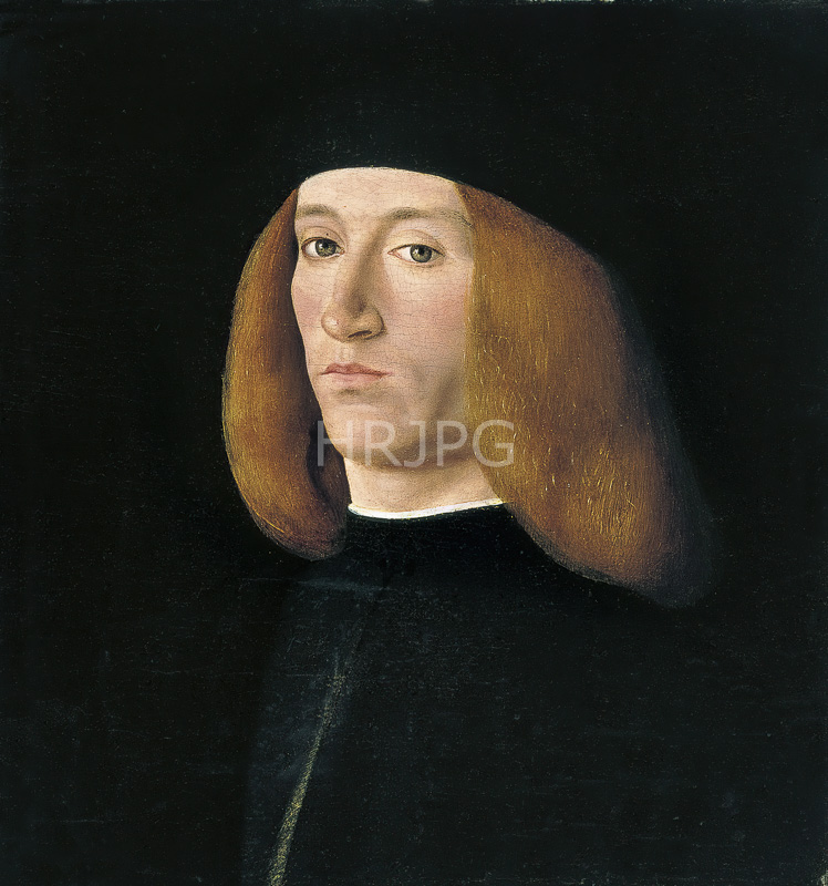 High Resolution: Portrait of a Young Man-Andrea Solario-c 1490-1500 download. | HRJPG.com