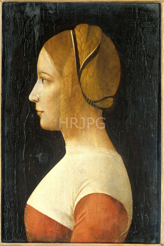 High Resolution: Portrait of a Lady-Giovanni Ambrogio de Predis-c 1490 download. | HRJPG.com