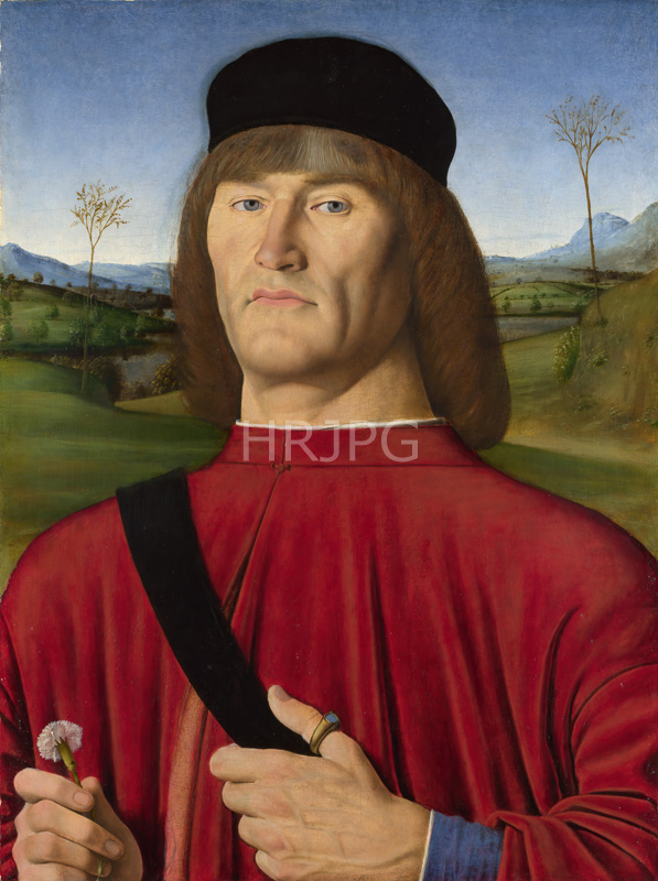 High Resolution: Man with a Pink Carnation-Andrea Solario-c 1495 download. | HRJPG.com