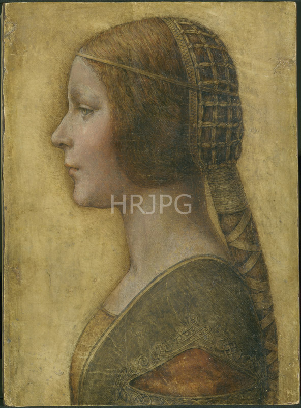 High Resolution: La Bella Principessa-Leonardo da Vinci-c 1495-1496 download. | HRJPG.com