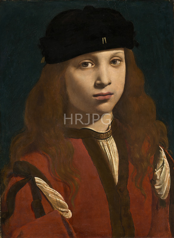High Resolution: Portrait of a Youth-Giovanni Antonio Boltraffio-c 1490-1500 download. | HRJPG.com