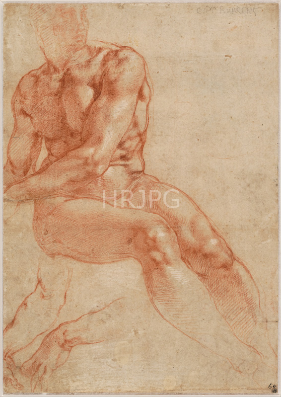 High Resolution: Study of a Seated Male Nude-Michelangelo Buonarroti-c 1510 1511 download. | HRJPG.com