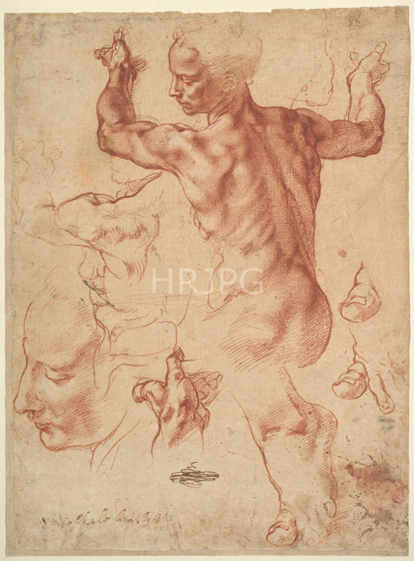 High Resolution: Studies for the Libyan Sibyl-Michelangelo Buonarroti-c 1510 1511 download. | HRJPG.com