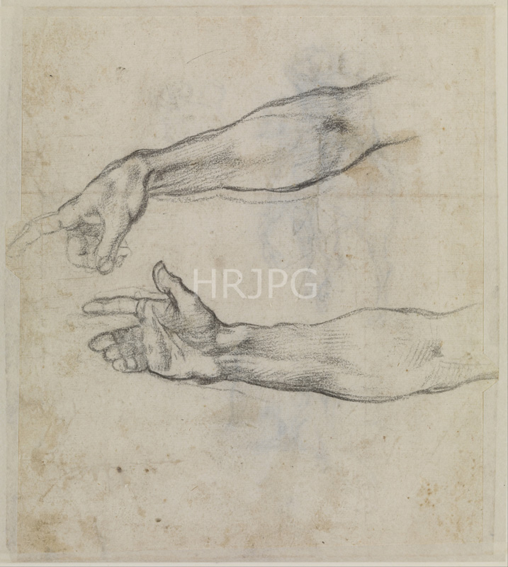 High Resolution: Studies of an Outstretched Arm-Michelangelo Buonarroti-c 1508 1509 download. | HRJPG.com