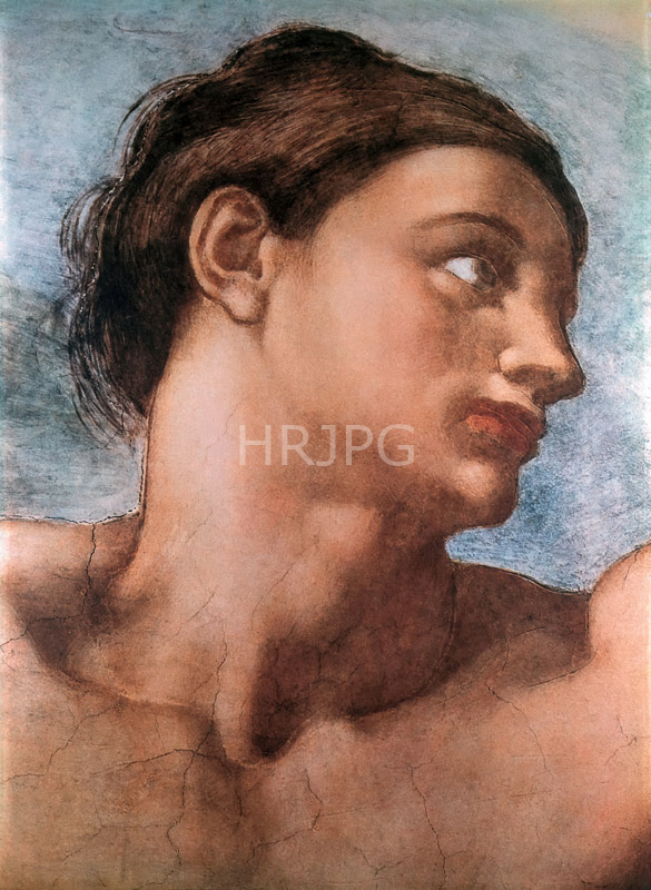 High Resolution: Head of Adam-Michelangelo Buonarroti-1508 1512 download. | HRJPG.com
