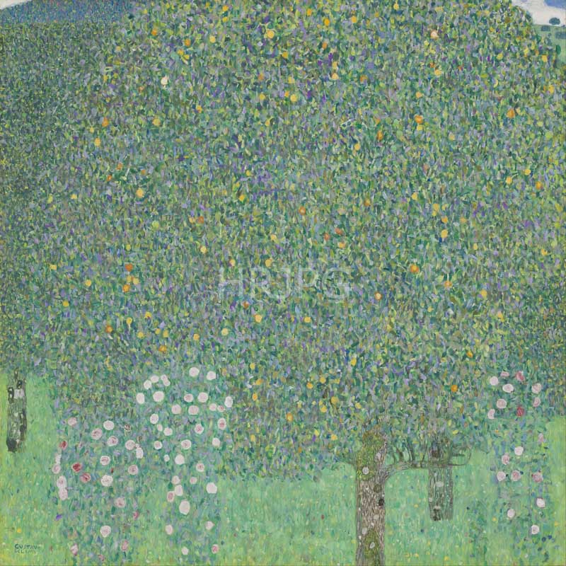 High Resolution: 800542-Rosebushes under the Trees-Gustav Klimt-c 1905 download. | HRJPG.com