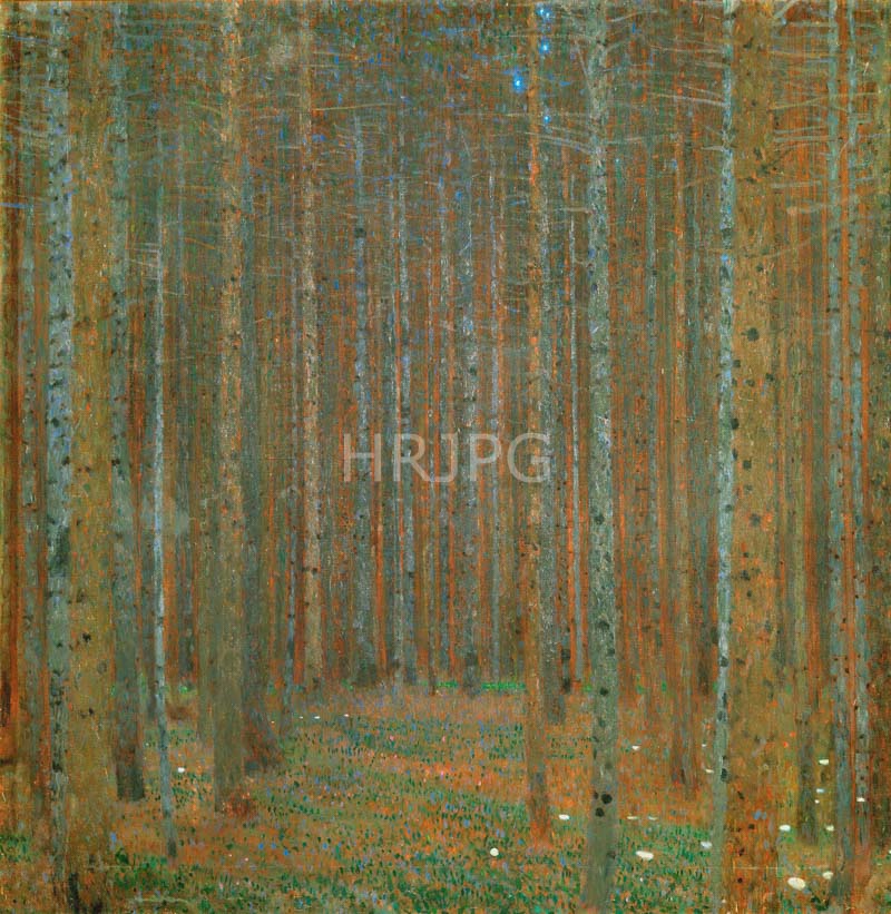 High Resolution: 800597-Fir Forest I-Gustav Klimt-1901 download. | HRJPG.com