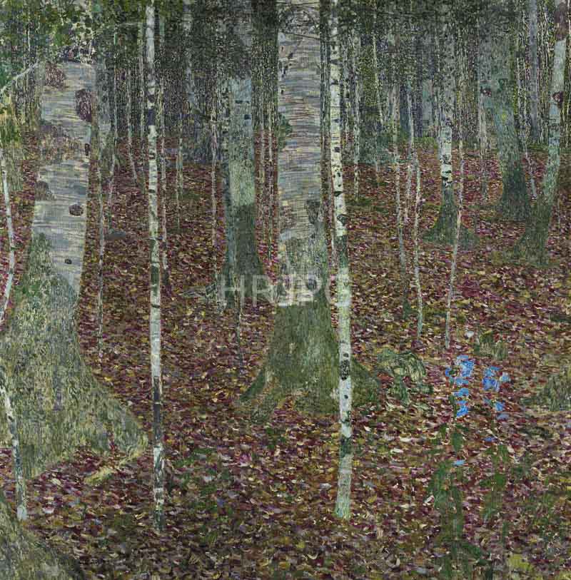 High Resolution: 800605-Beech Forest-Gustav Klimt-1903 download. | HRJPG.com
