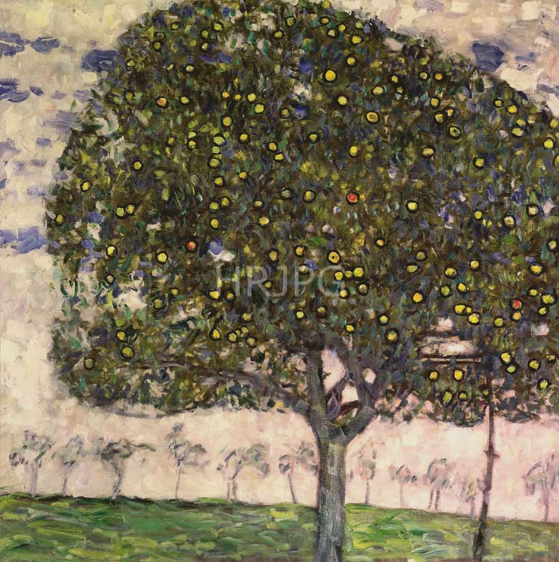 High Resolution: 800621-Portrait of Amalie Zuckerkandl-Gustav Klimt-1917 1918 download. | HRJPG.com
