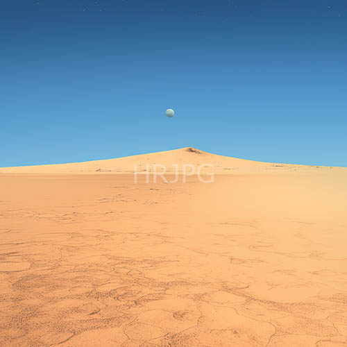 expansive sunlit desert with