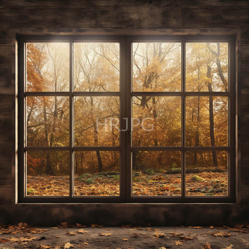 shifting forest light illuminates bare trees among golden fallen leaves